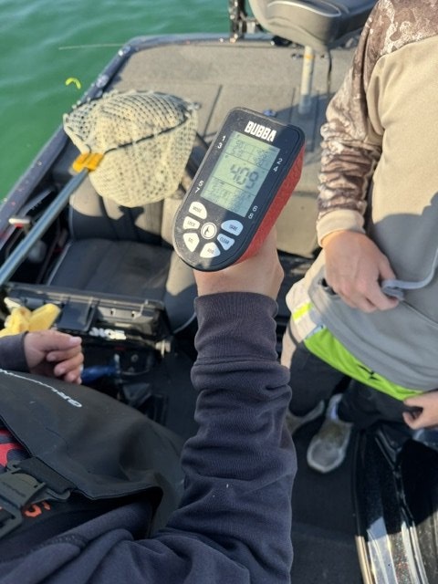 Largemouth Bass catch photo 2