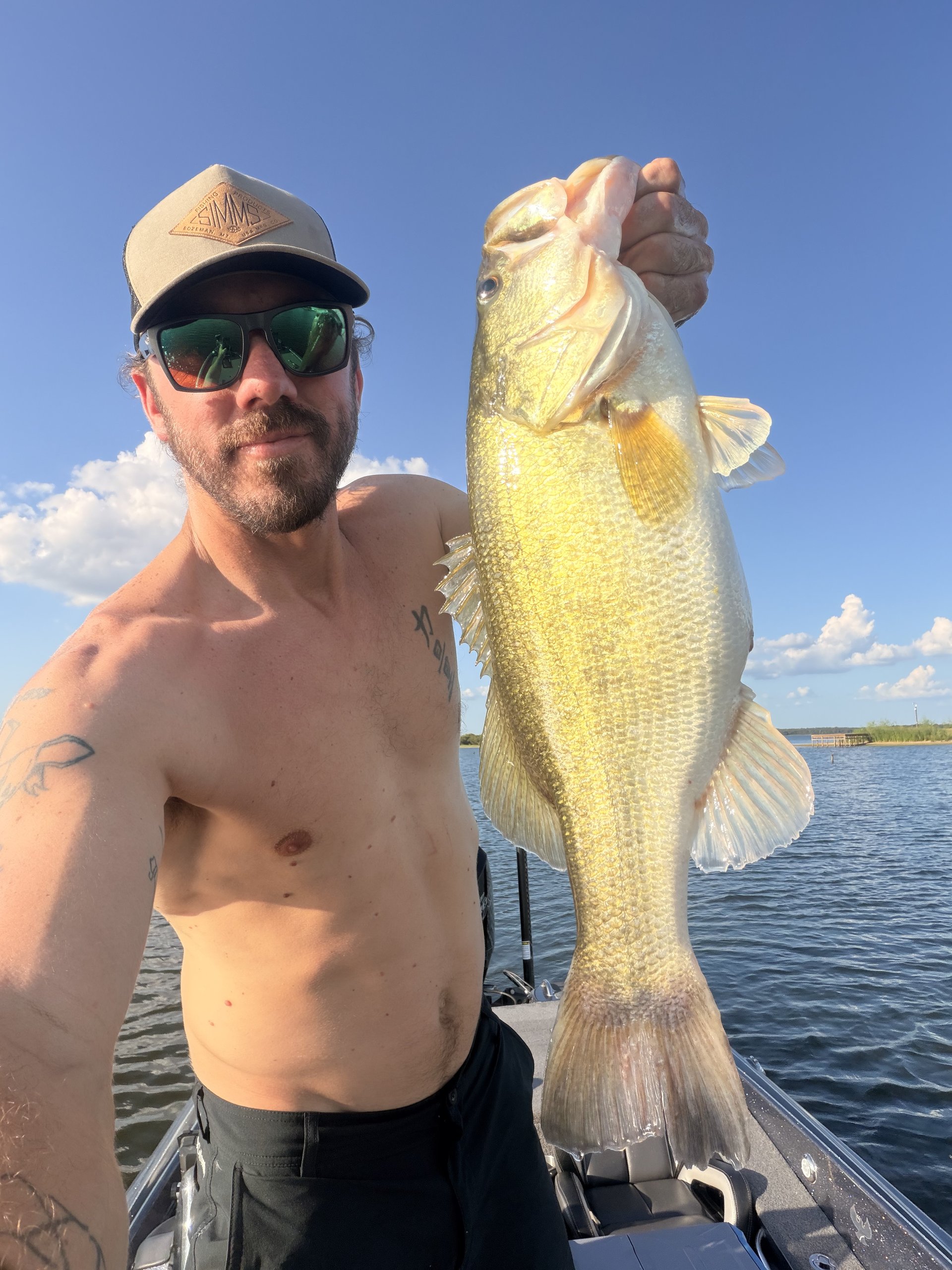 Largemouth Bass