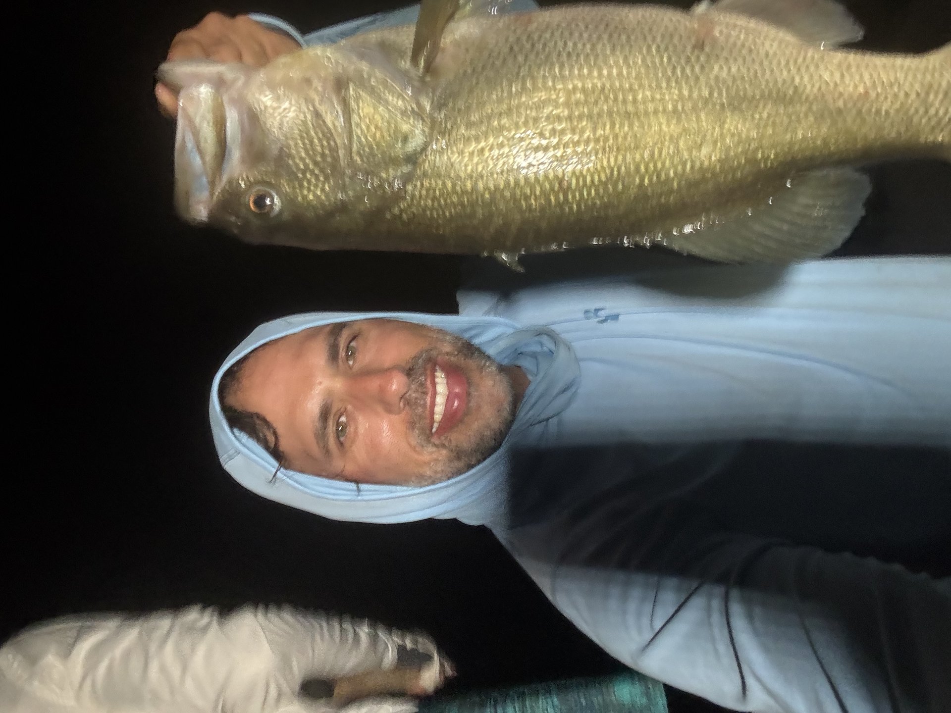 Largemouth Bass