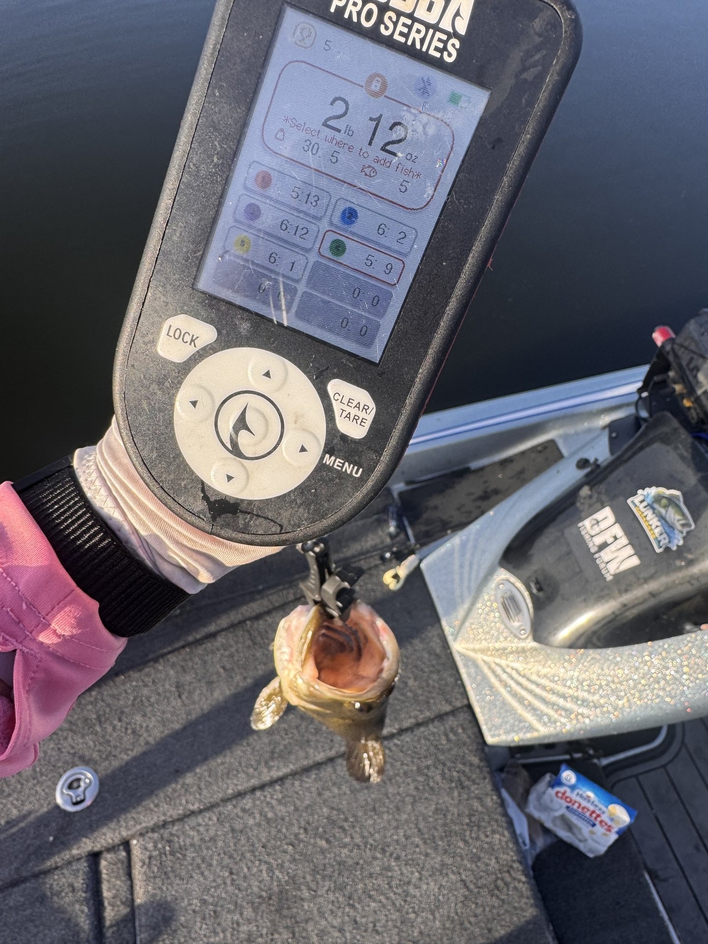 Largemouth Bass
