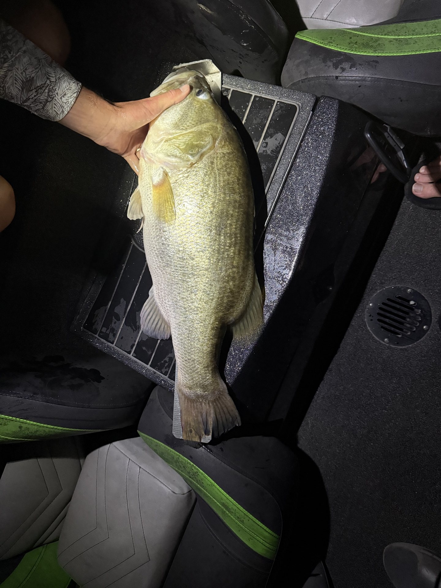 Largemouth Bass catch photo 3