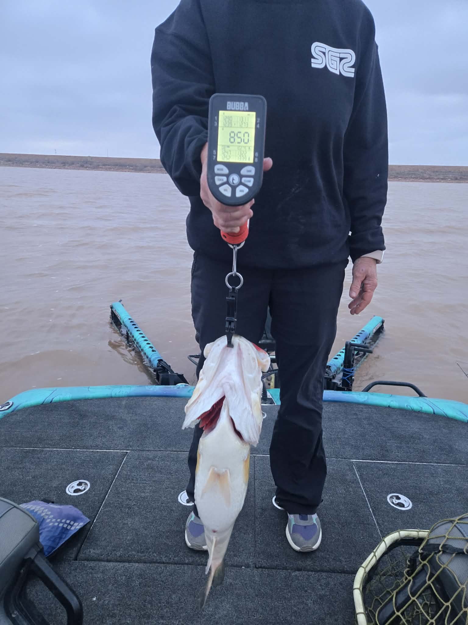 Largemouth Bass