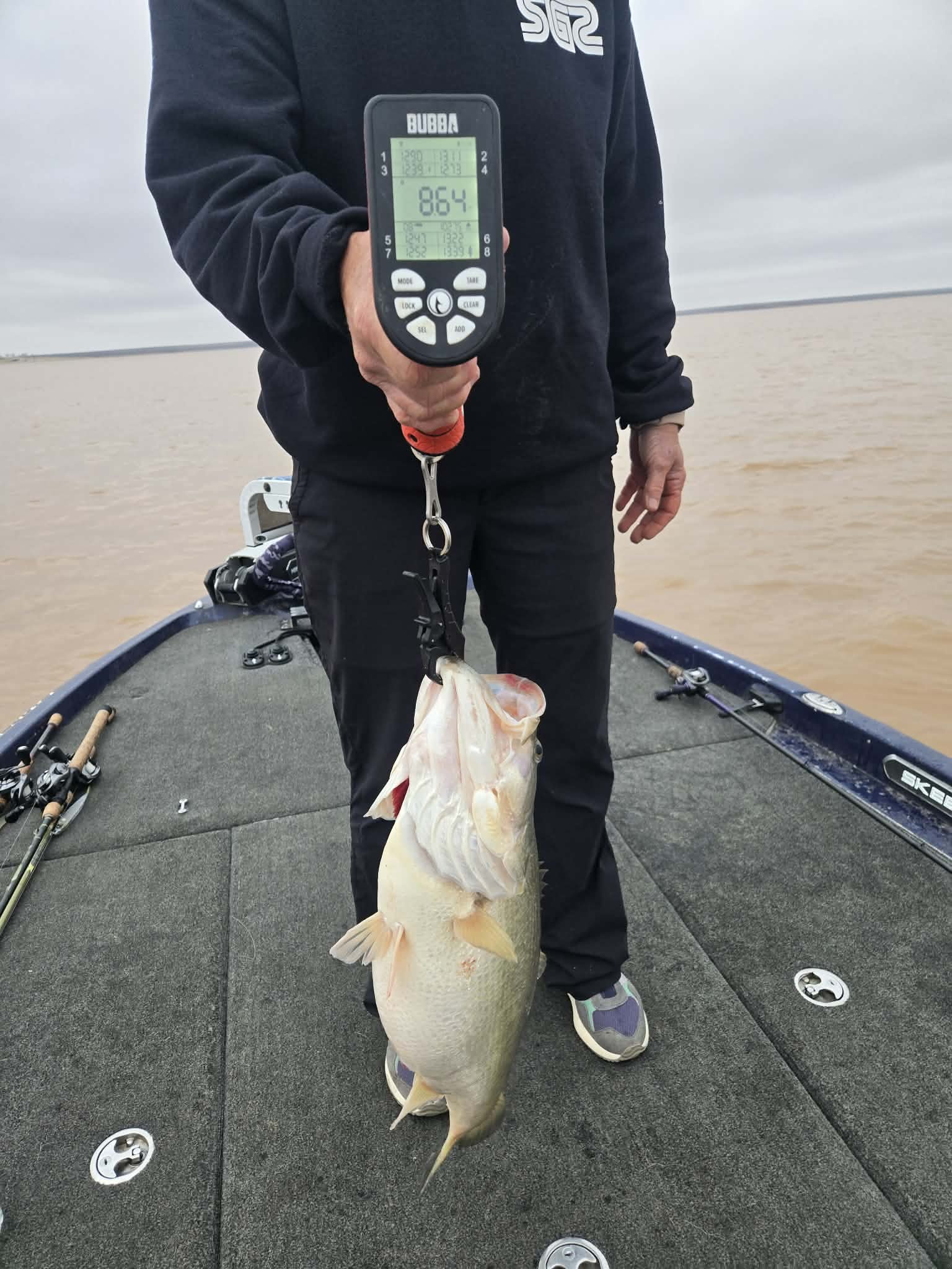 Largemouth Bass
