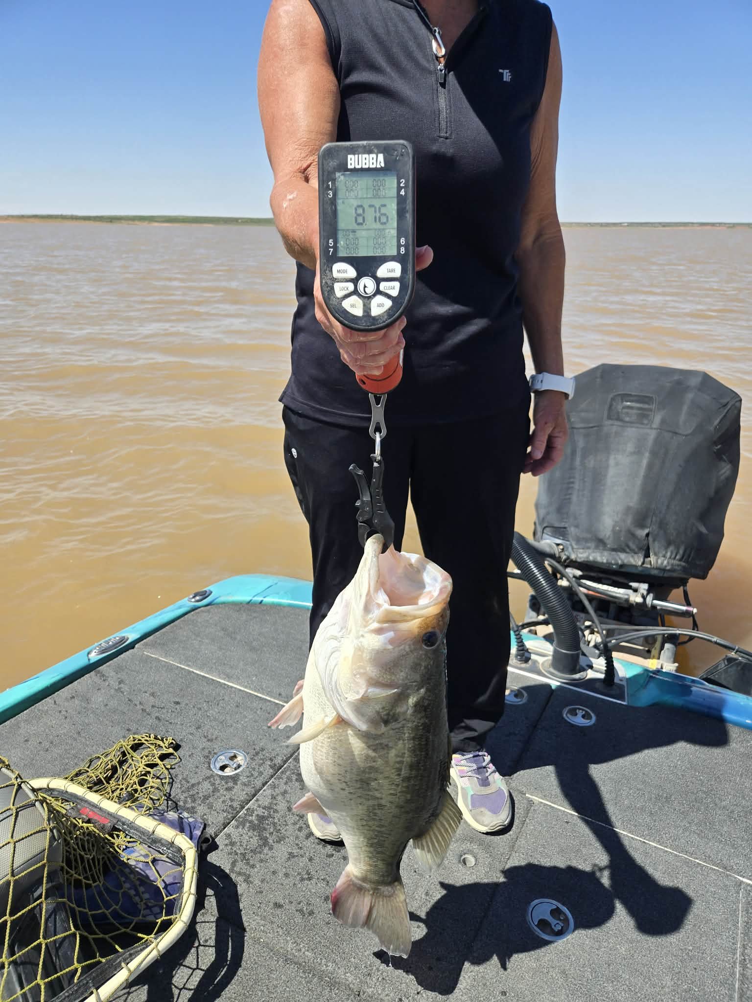 Largemouth Bass