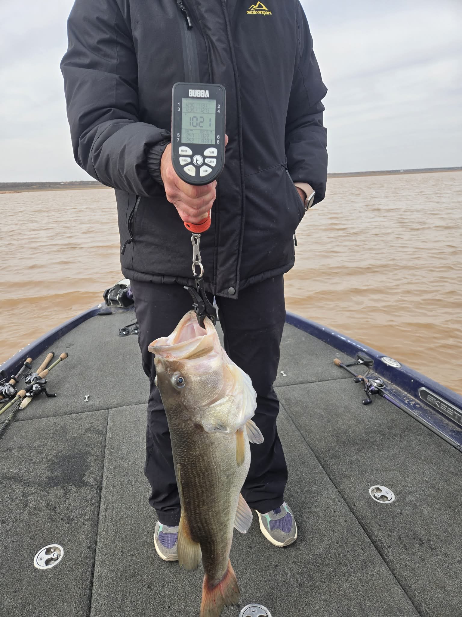 Largemouth Bass