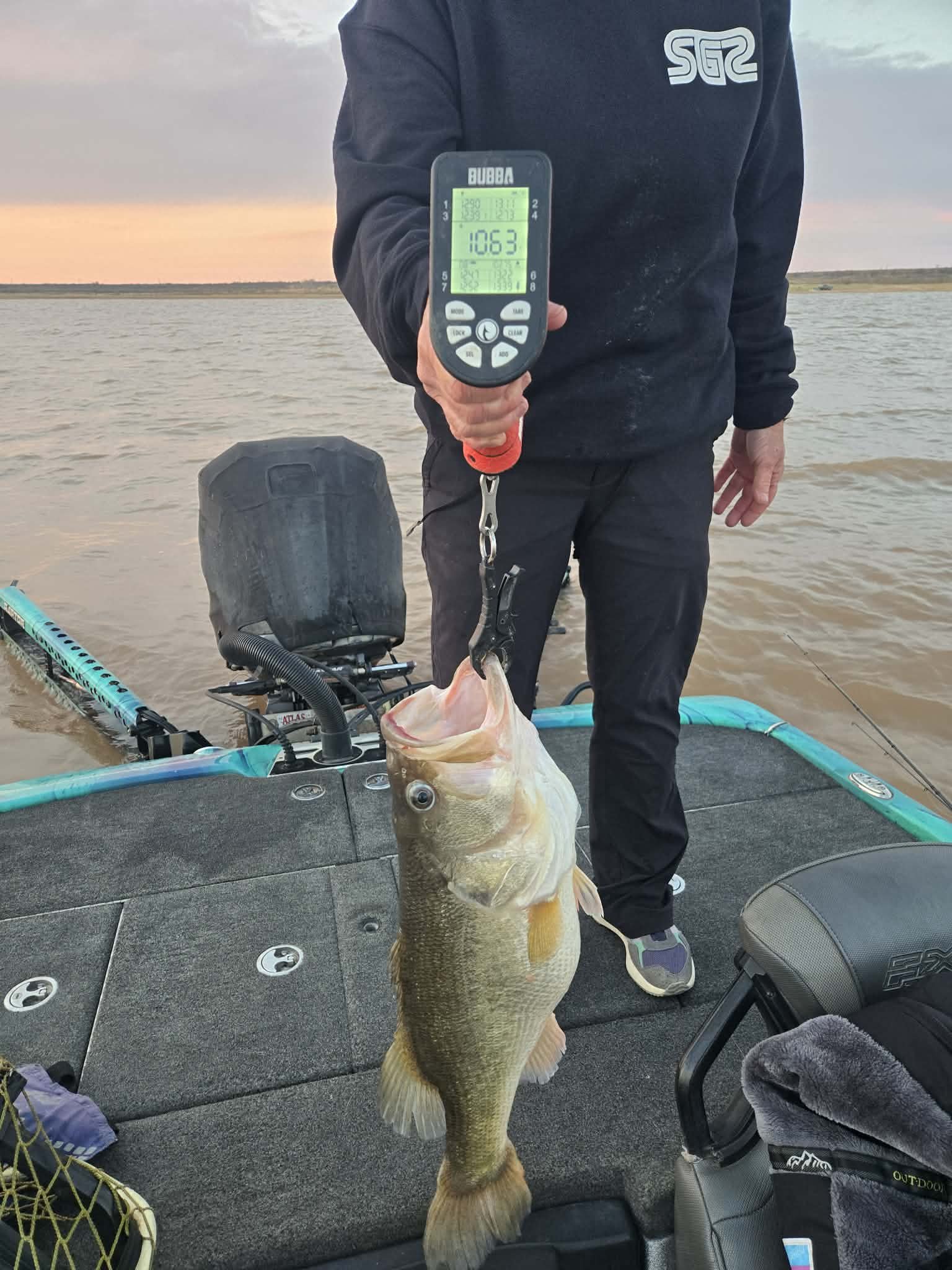 Largemouth Bass