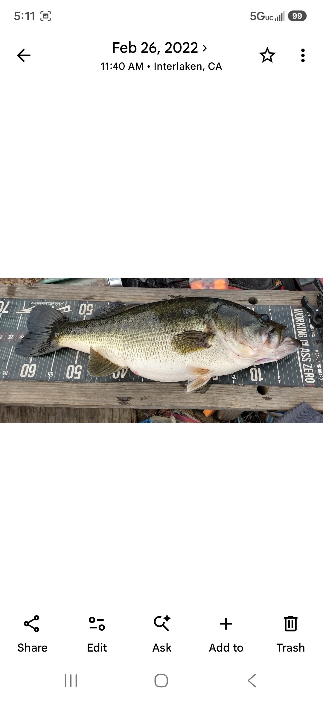 Largemouth Bass catch photo 3