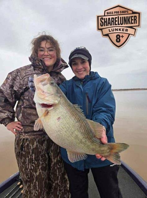 Largemouth Bass