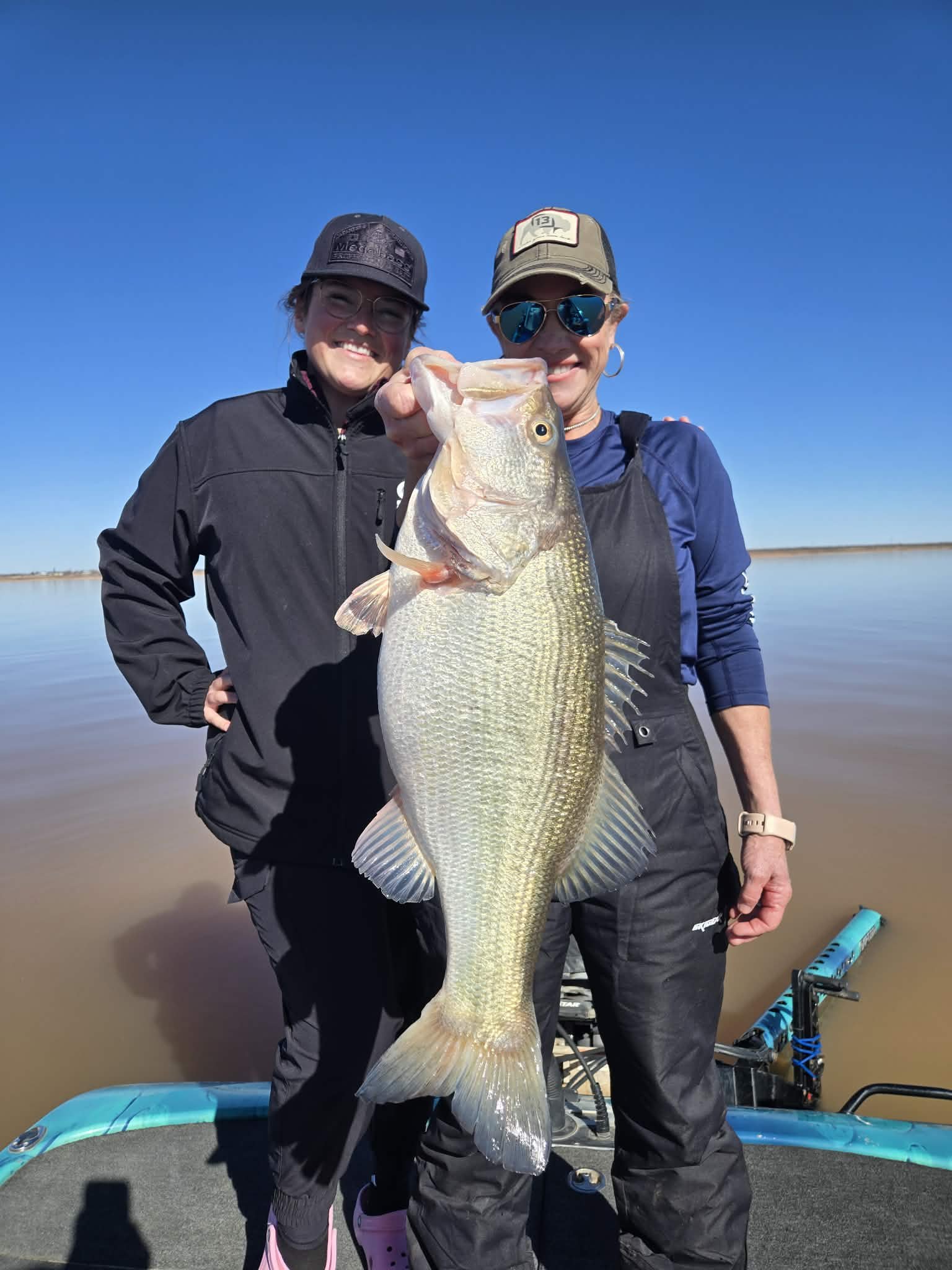 Largemouth Bass