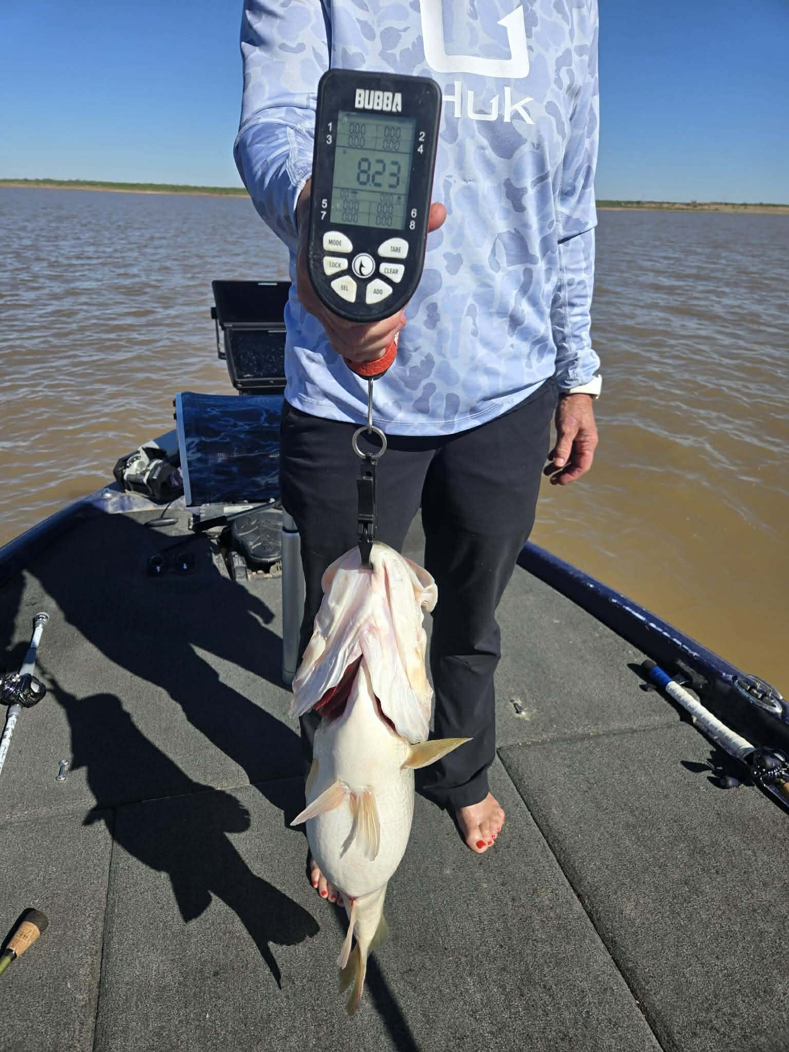 Largemouth Bass