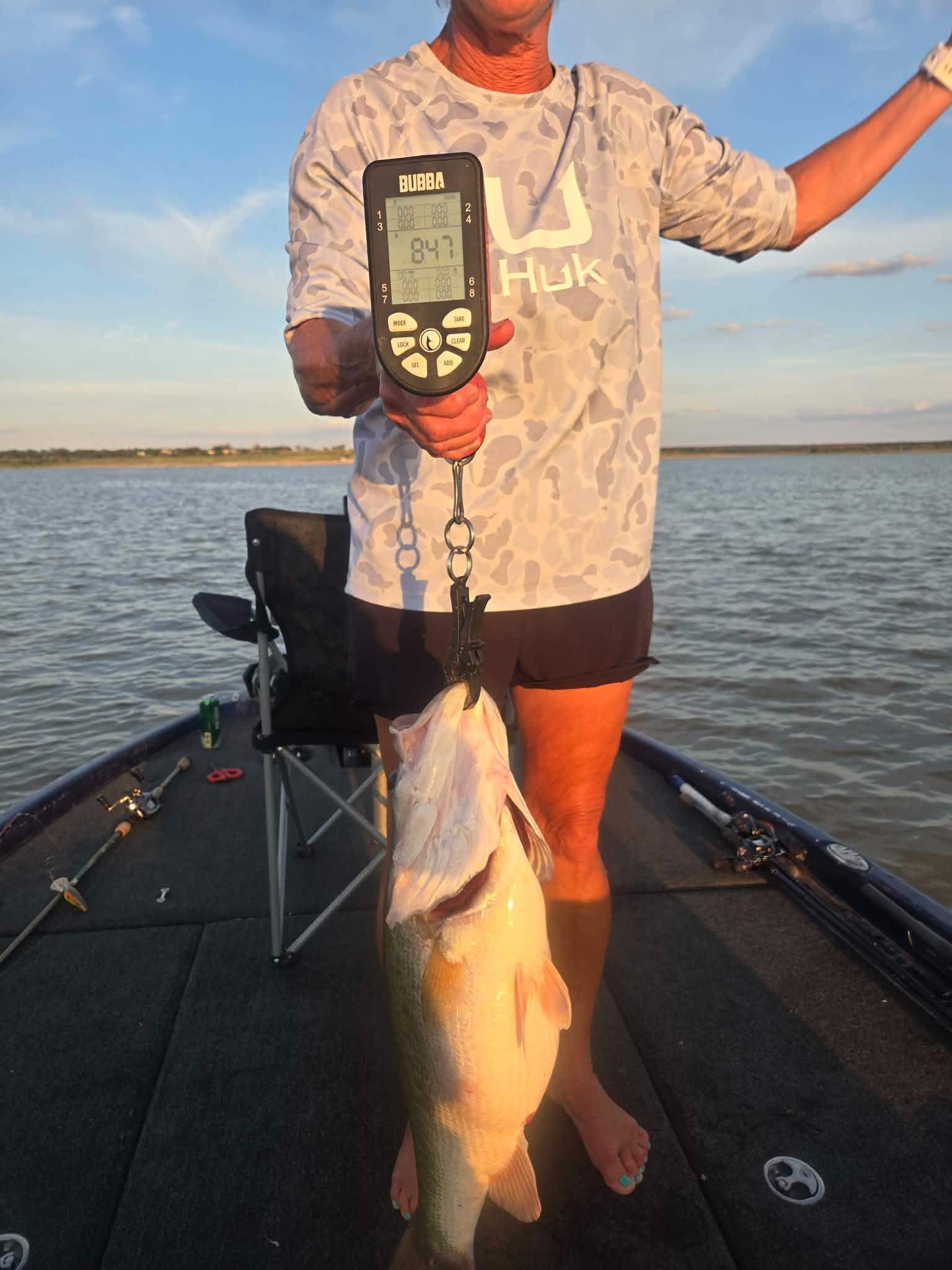 Largemouth Bass