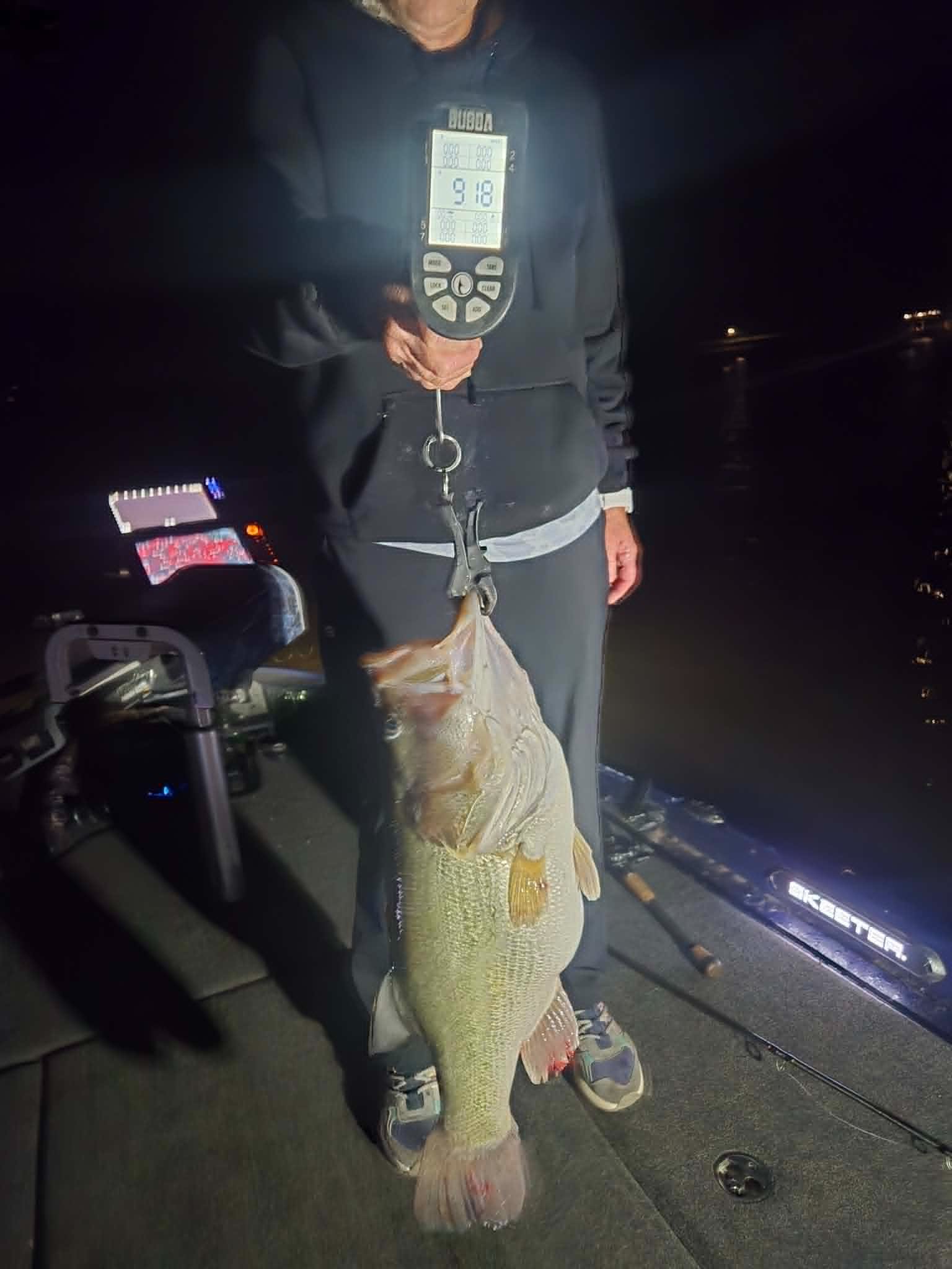 Largemouth Bass