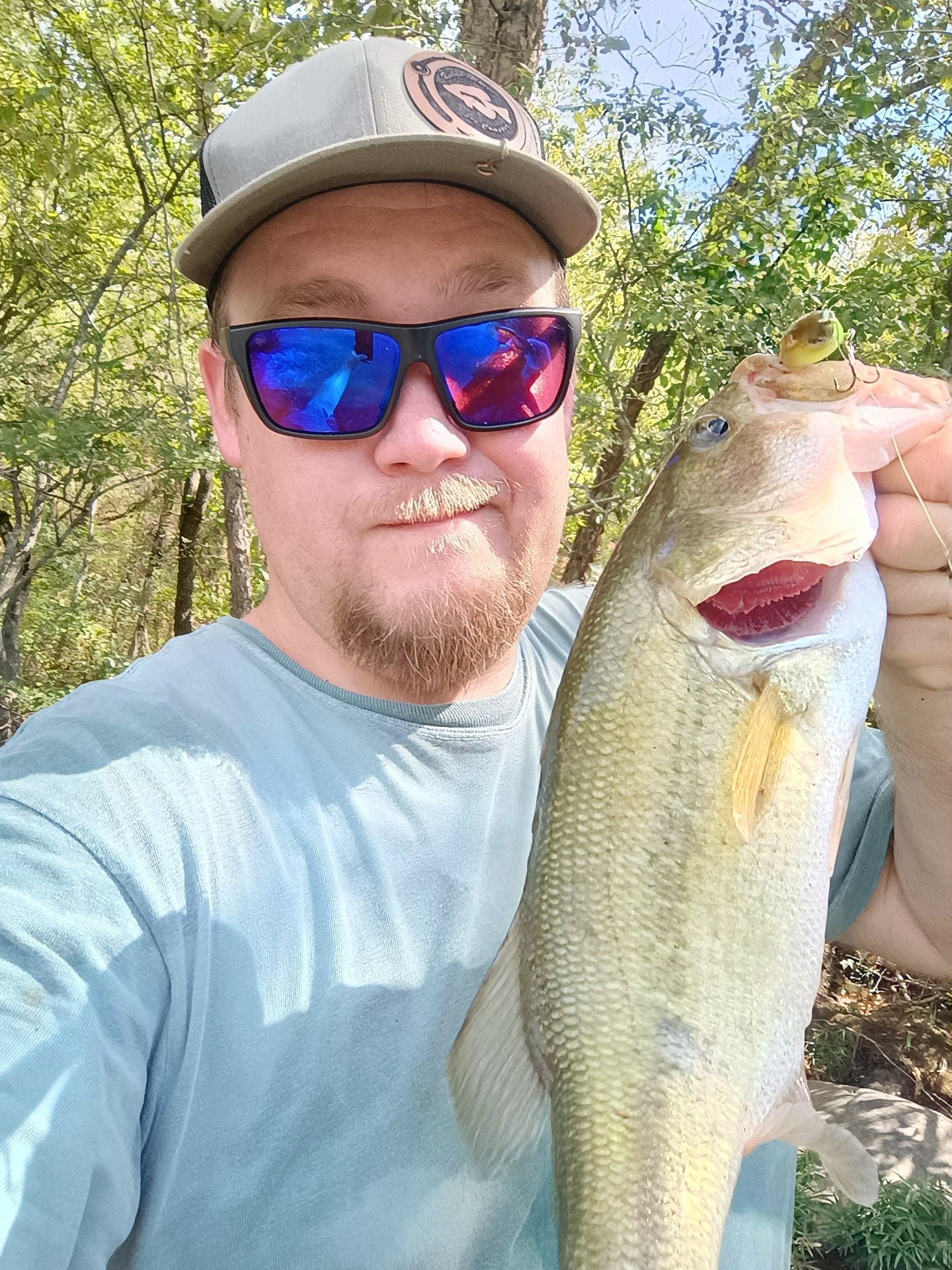 Largemouth Bass catch photo 1