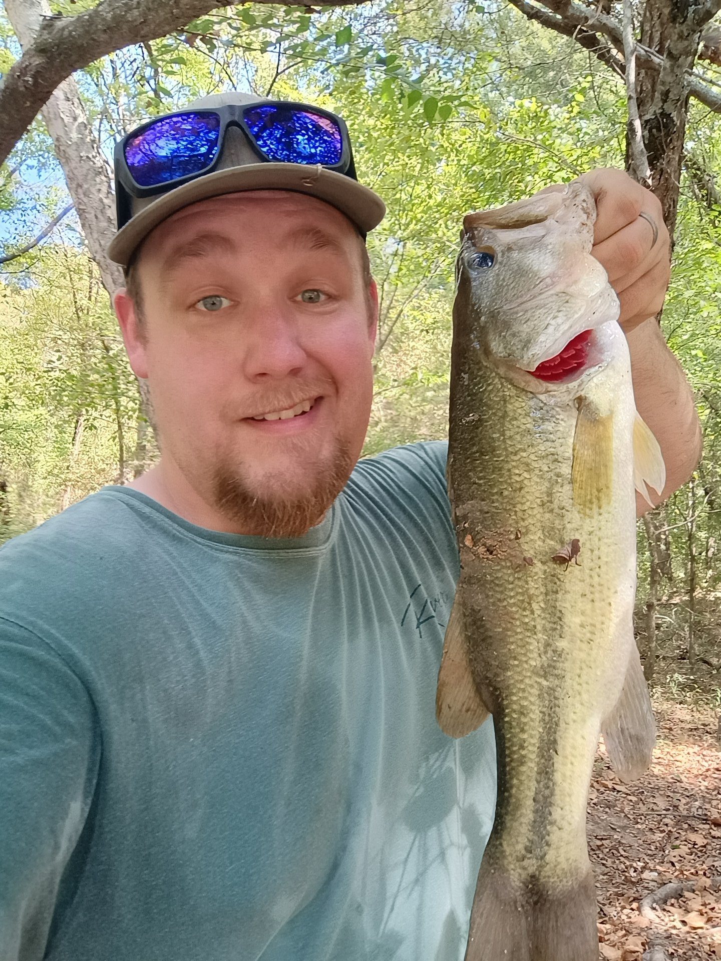 Largemouth Bass catch photo 1