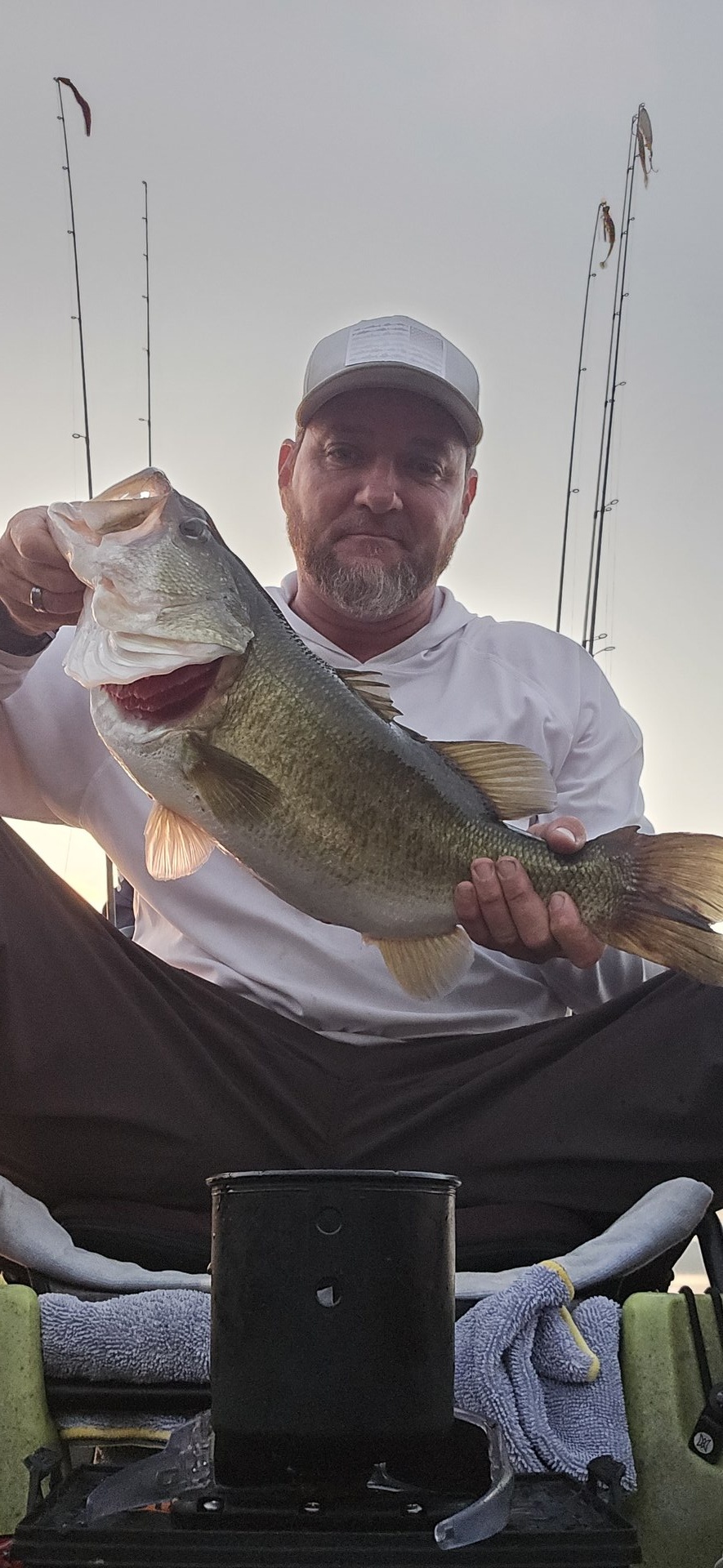 Largemouth Bass