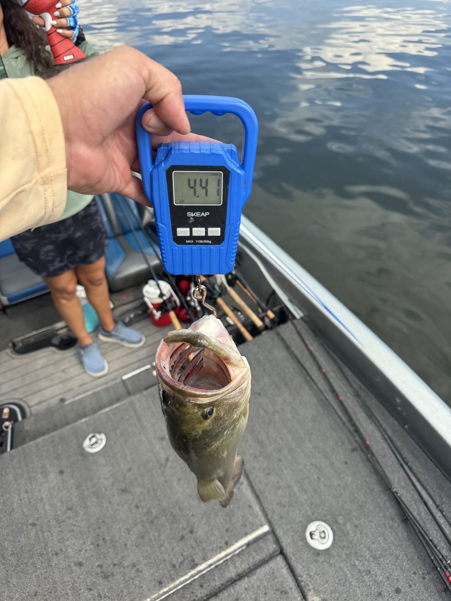 Largemouth Bass catch photo 2
