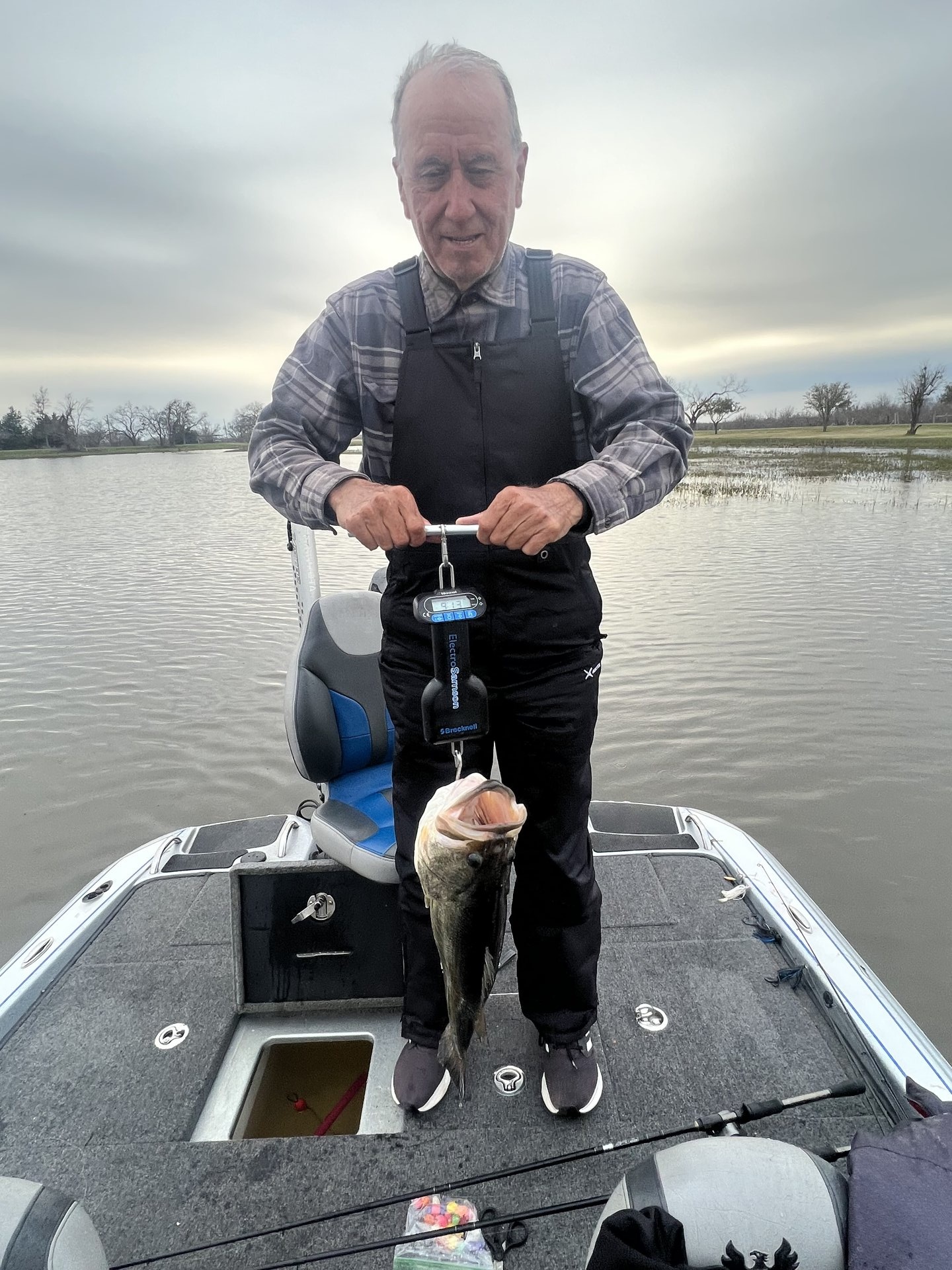 Largemouth Bass