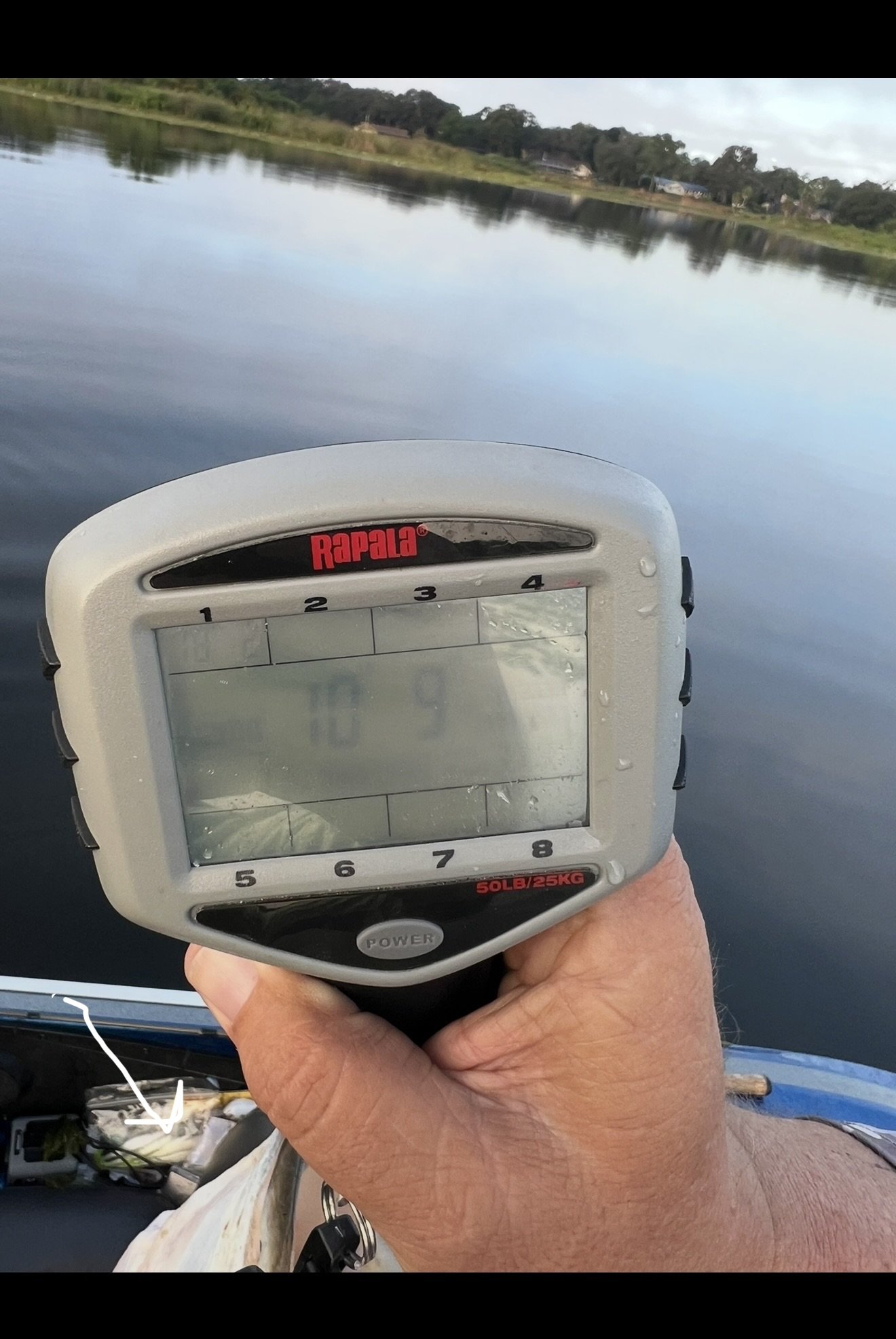 Largemouth Bass catch photo 3