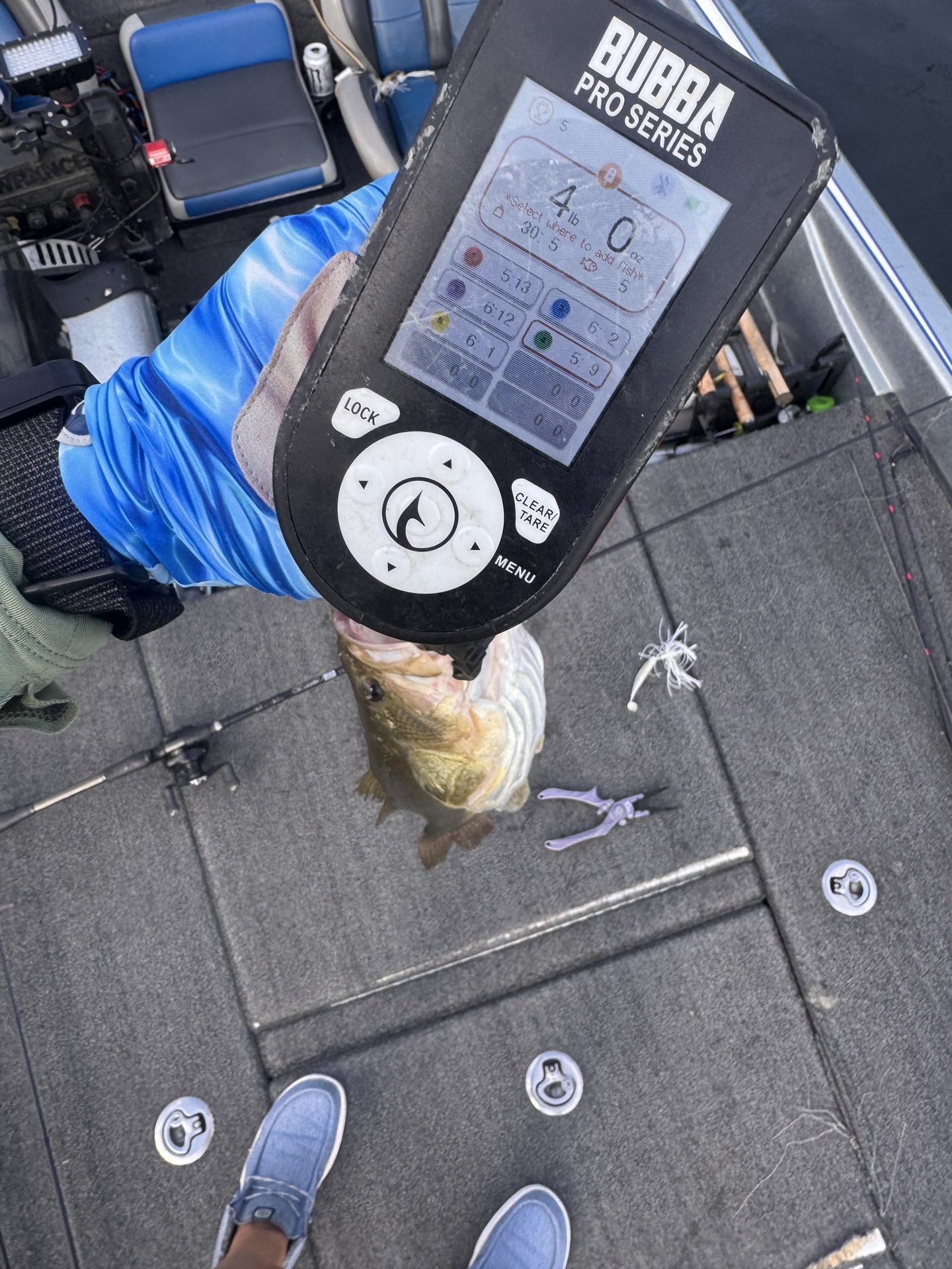 Largemouth Bass catch photo 2