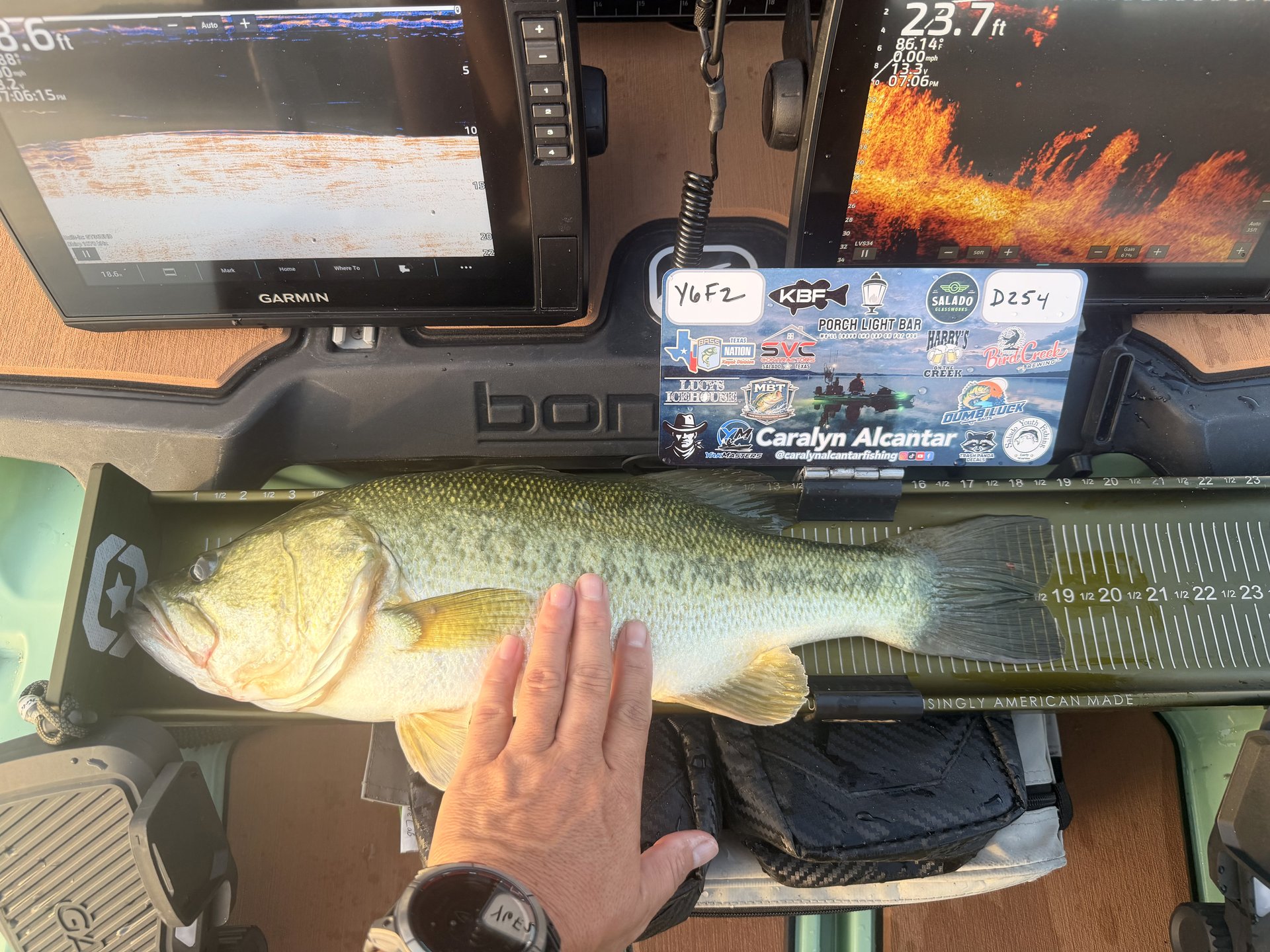 Largemouth Bass catch photo 3