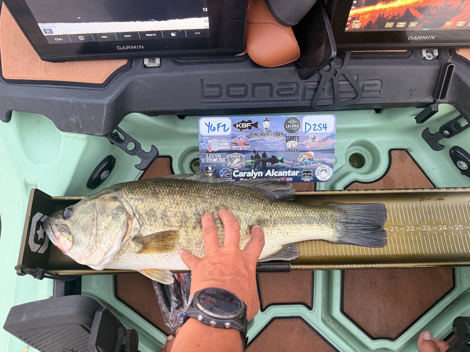 Largemouth Bass catch photo 3