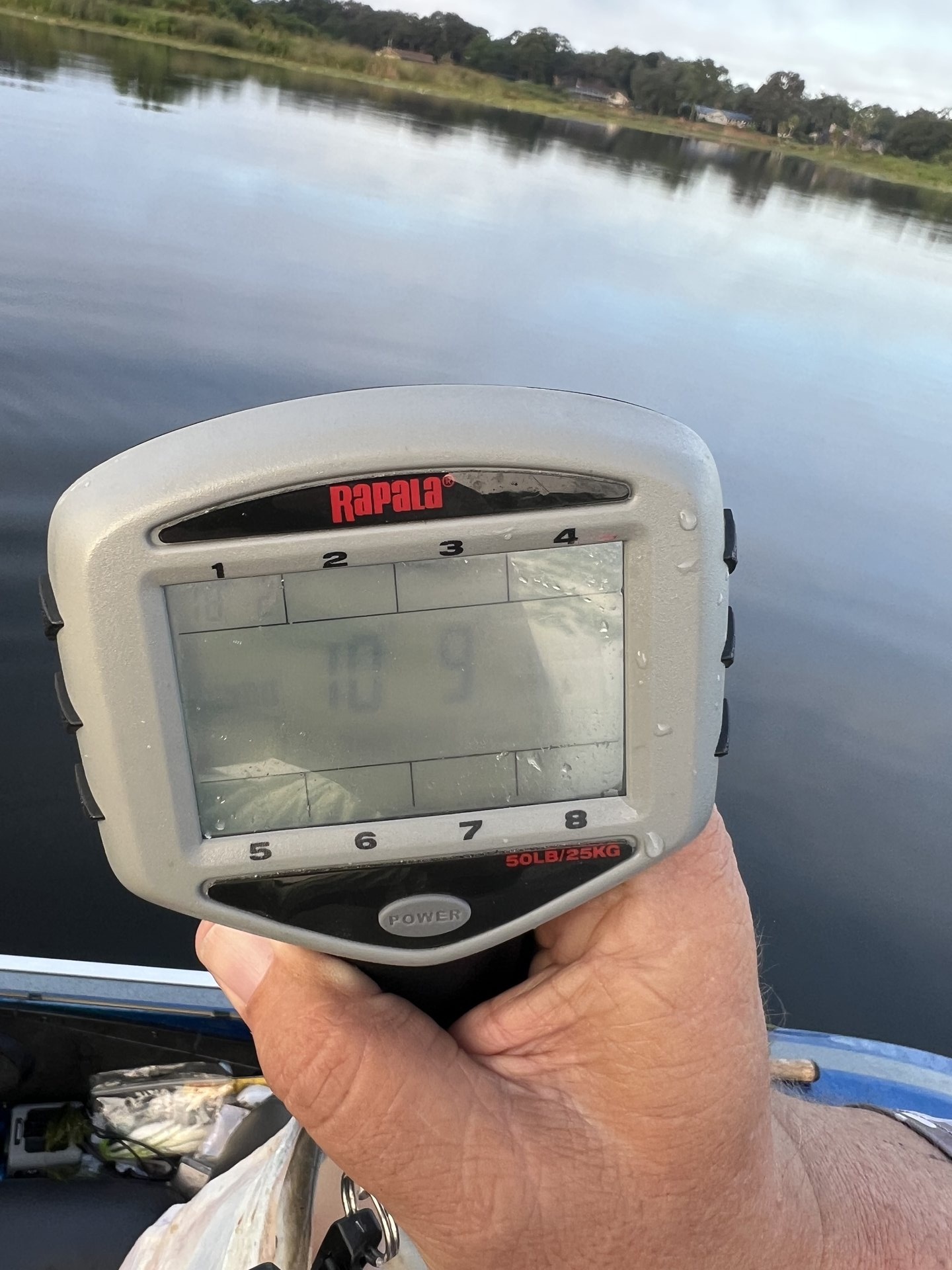 Largemouth Bass catch photo 5