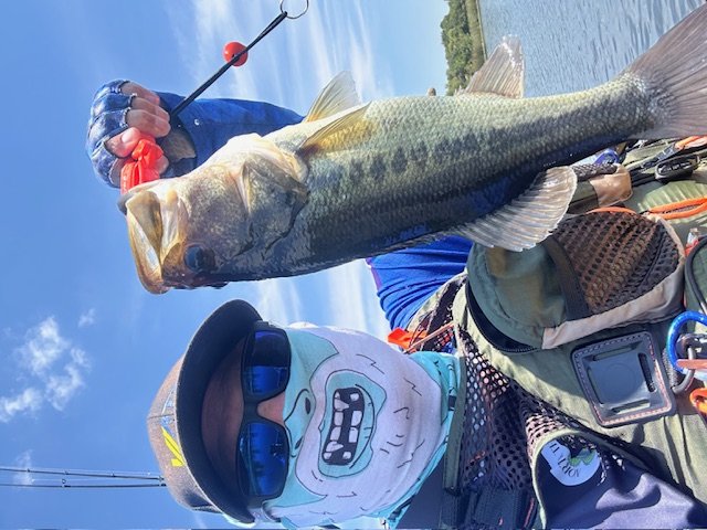 Largemouth Bass catch photo 1