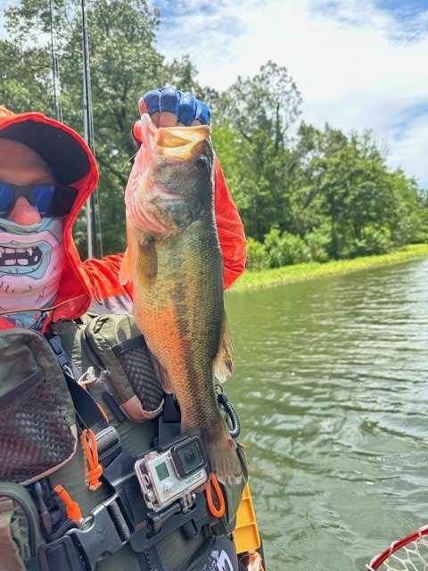 Largemouth Bass catch photo 1