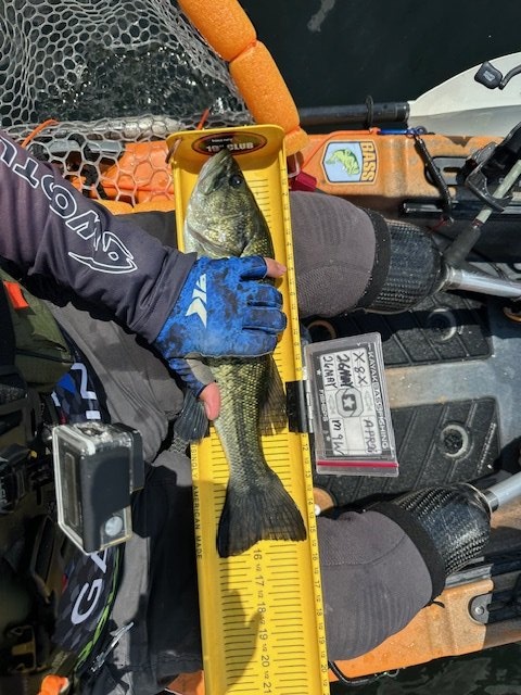 Largemouth Bass catch photo 1