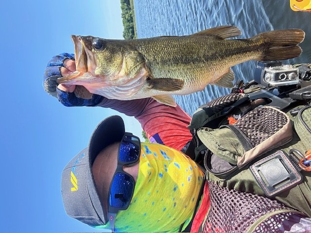 Largemouth Bass catch photo 1