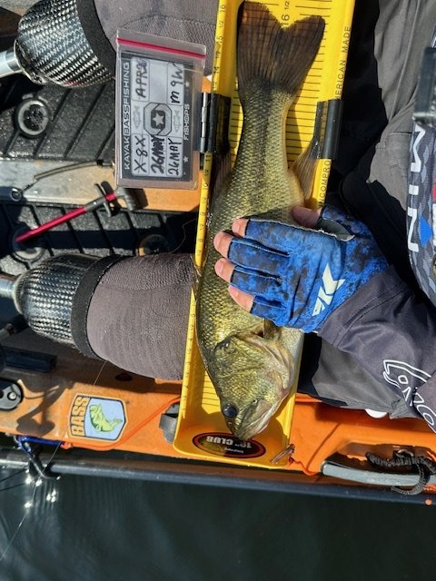 Largemouth Bass catch photo 1