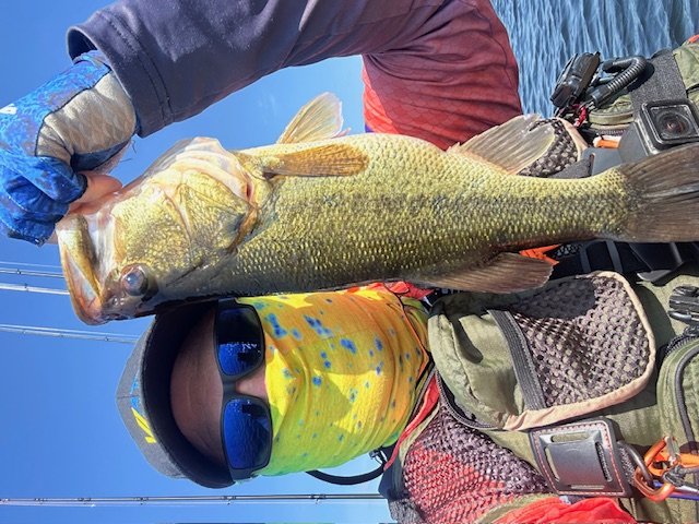 Largemouth Bass catch photo 1