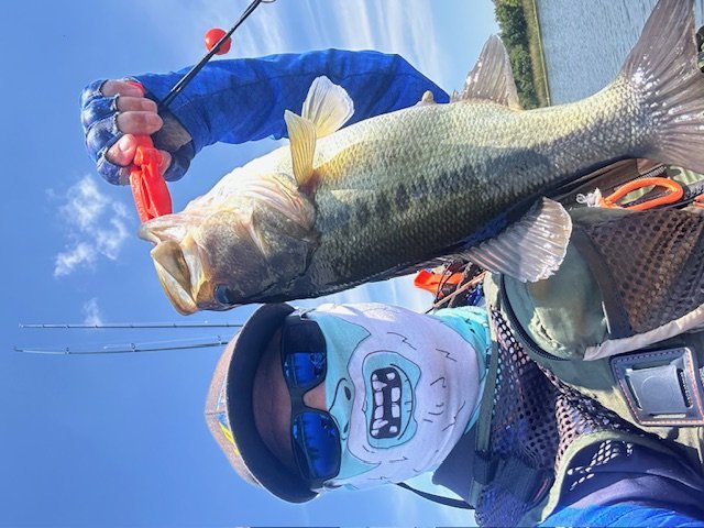 Largemouth Bass catch photo 1