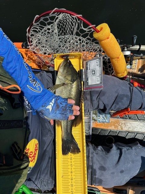 Largemouth Bass catch photo 1