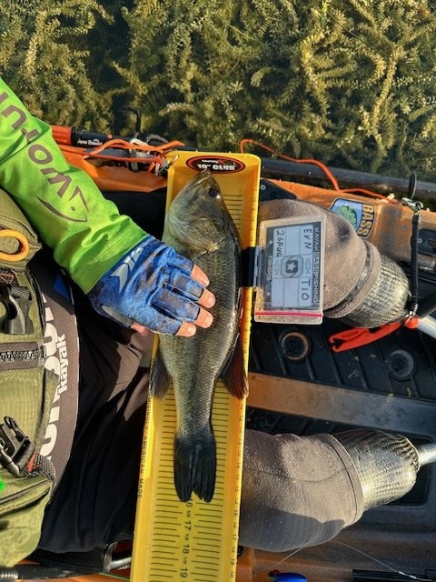 Largemouth Bass catch photo 1