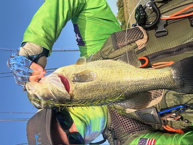 Largemouth Bass catch photo 1