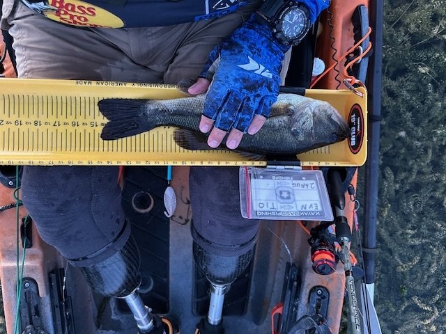 Largemouth Bass catch photo 1