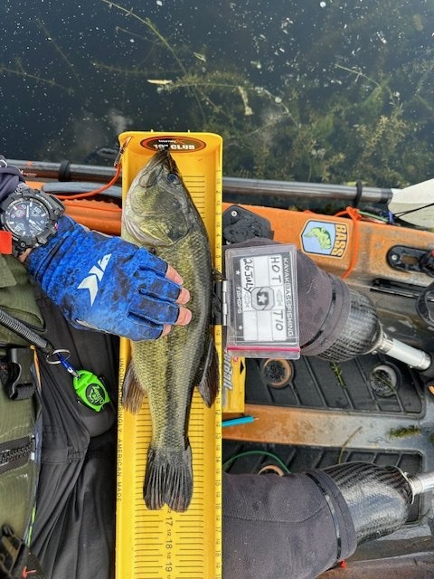Largemouth Bass catch photo 1