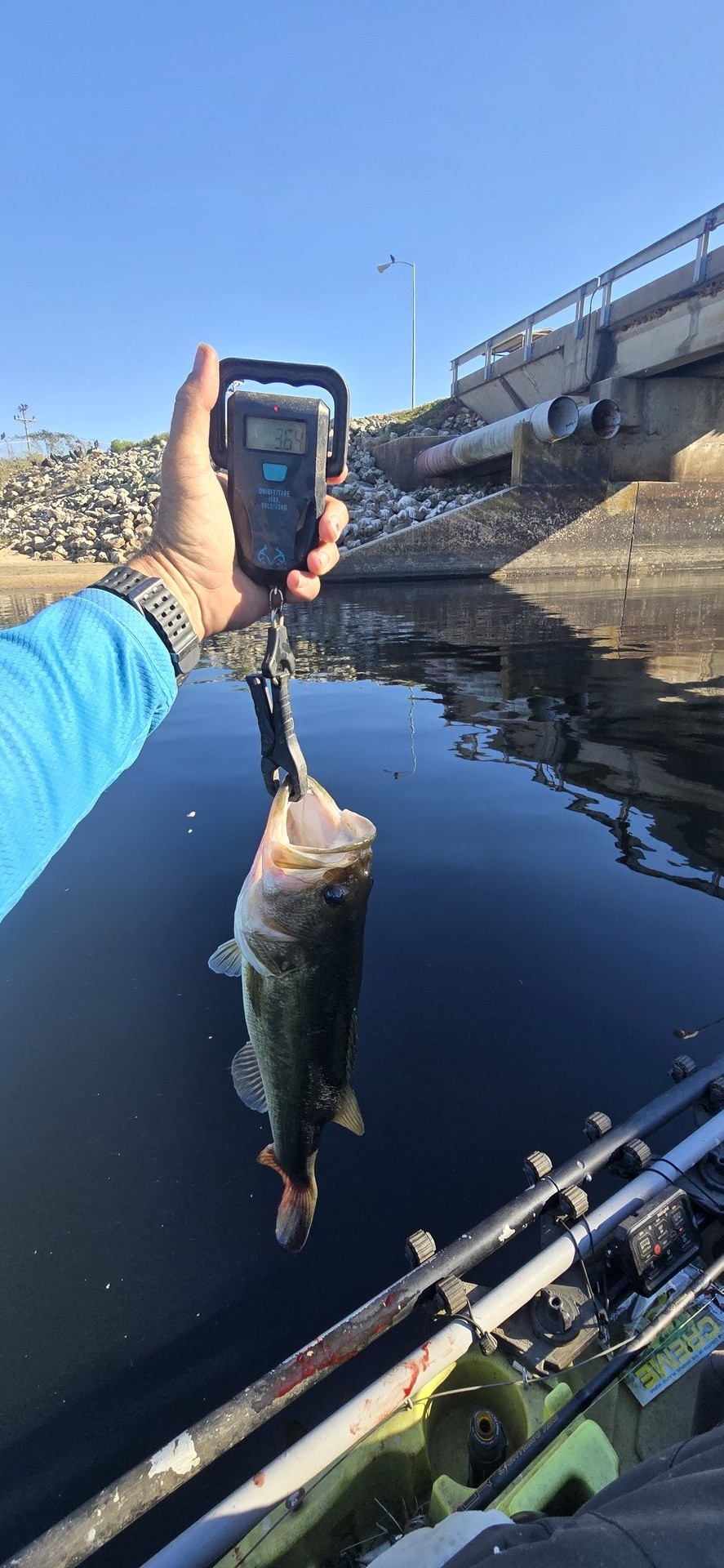 twhite_fishing · Fish on Scale