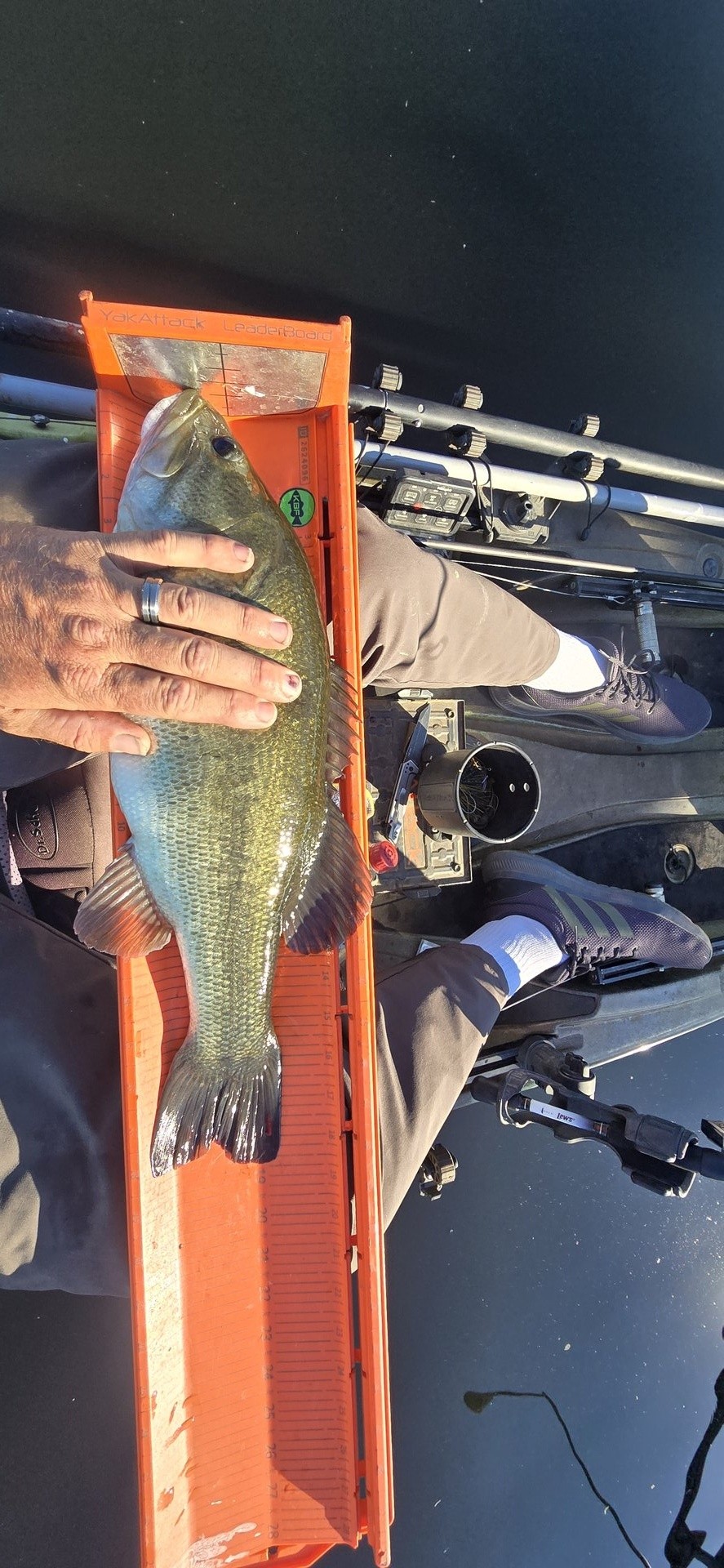 twhite_fishing · Fish on Measuring Board