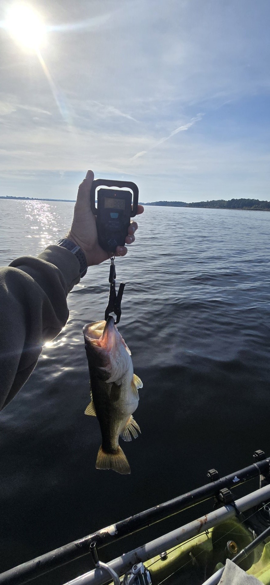 twhite_fishing · Fish on Scale