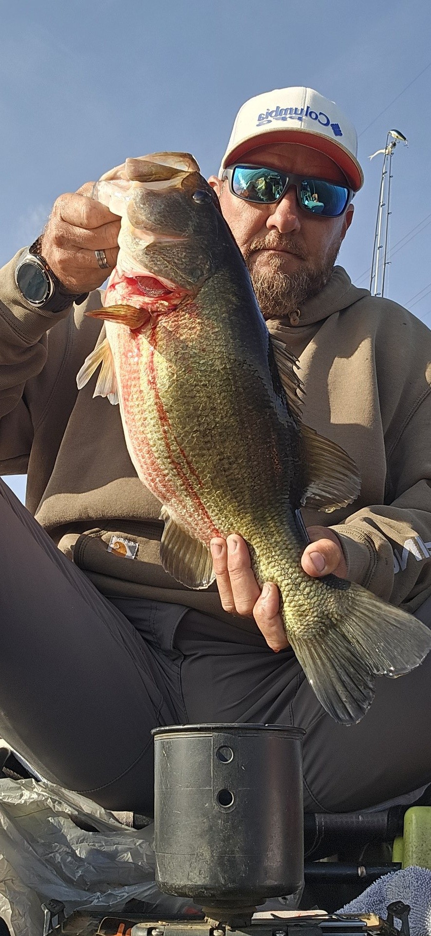 Largemouth Bass