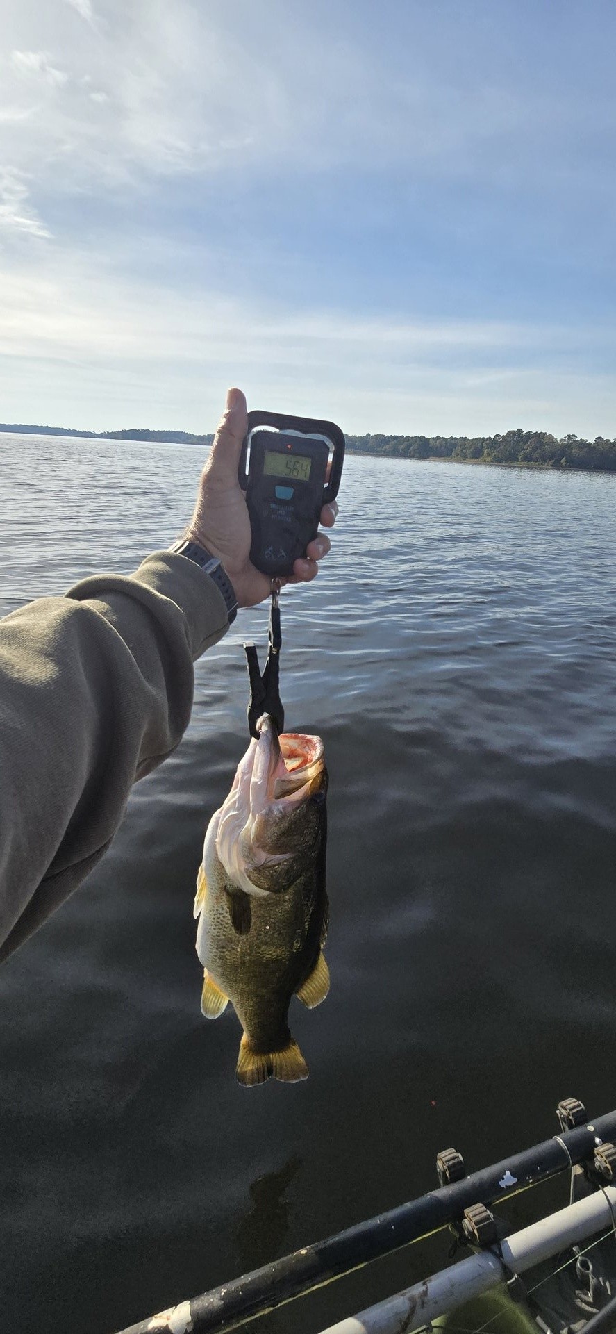 twhite_fishing · Fish on Scale