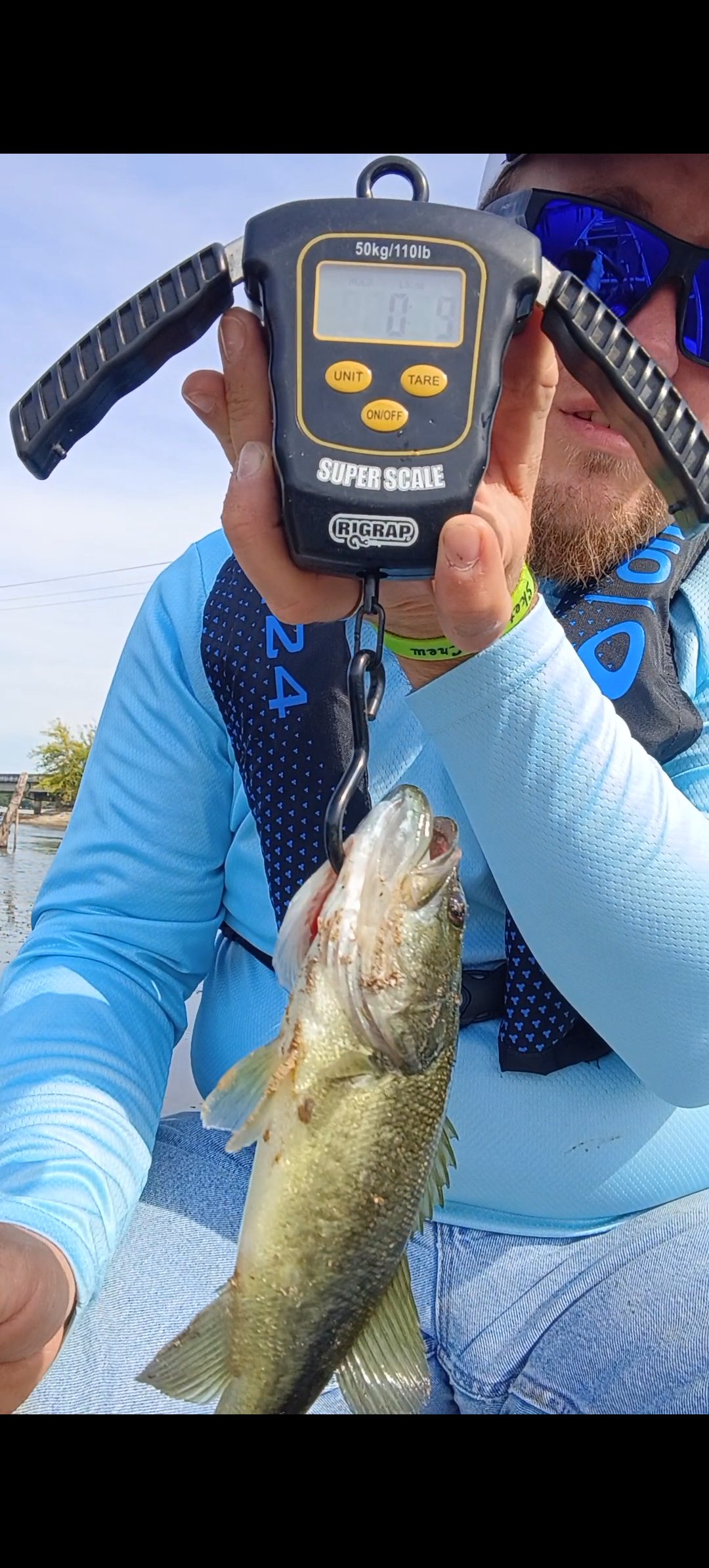 Alvie Neeley · Fish on Scale