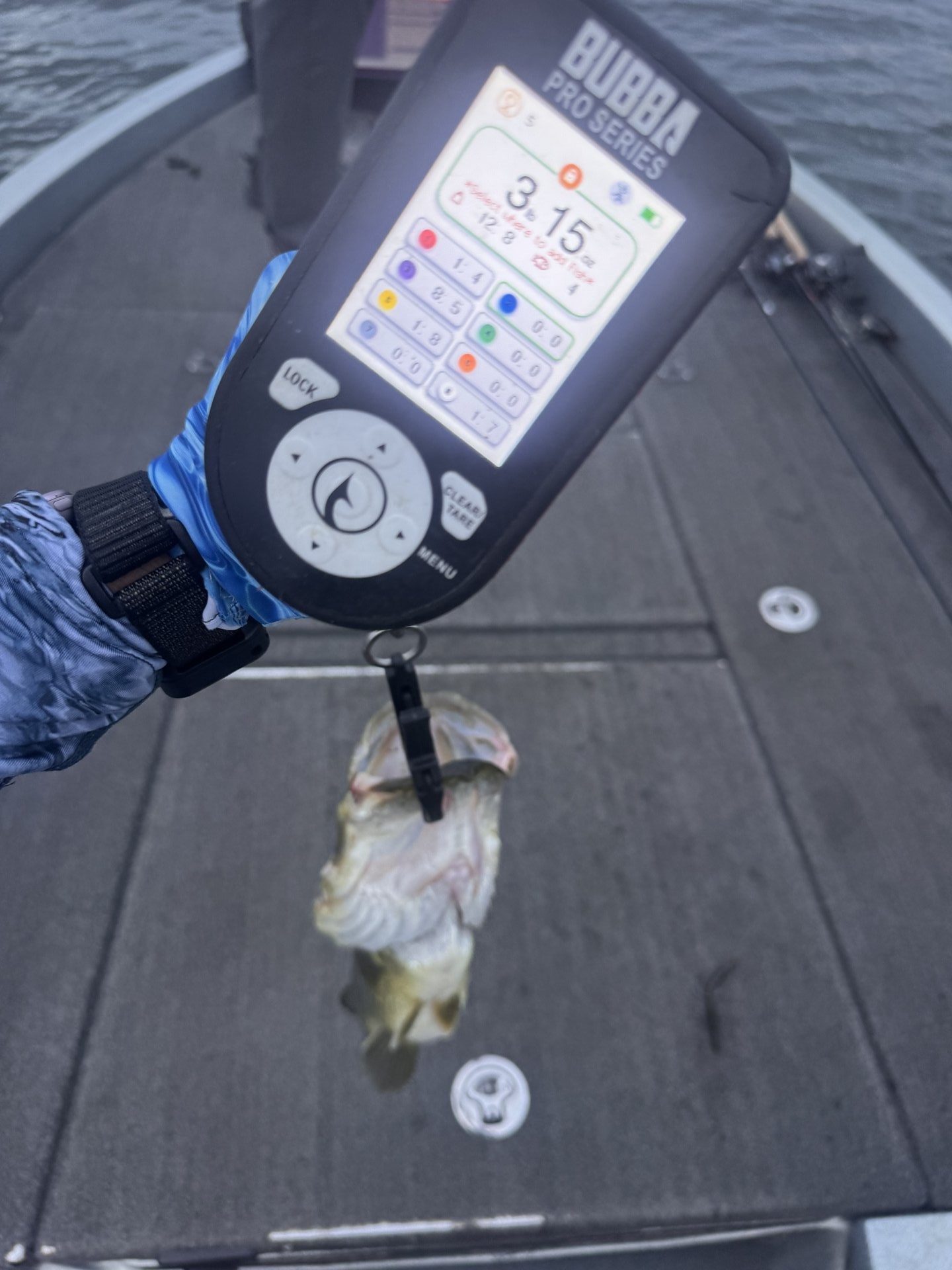 Largemouth Bass catch photo 2