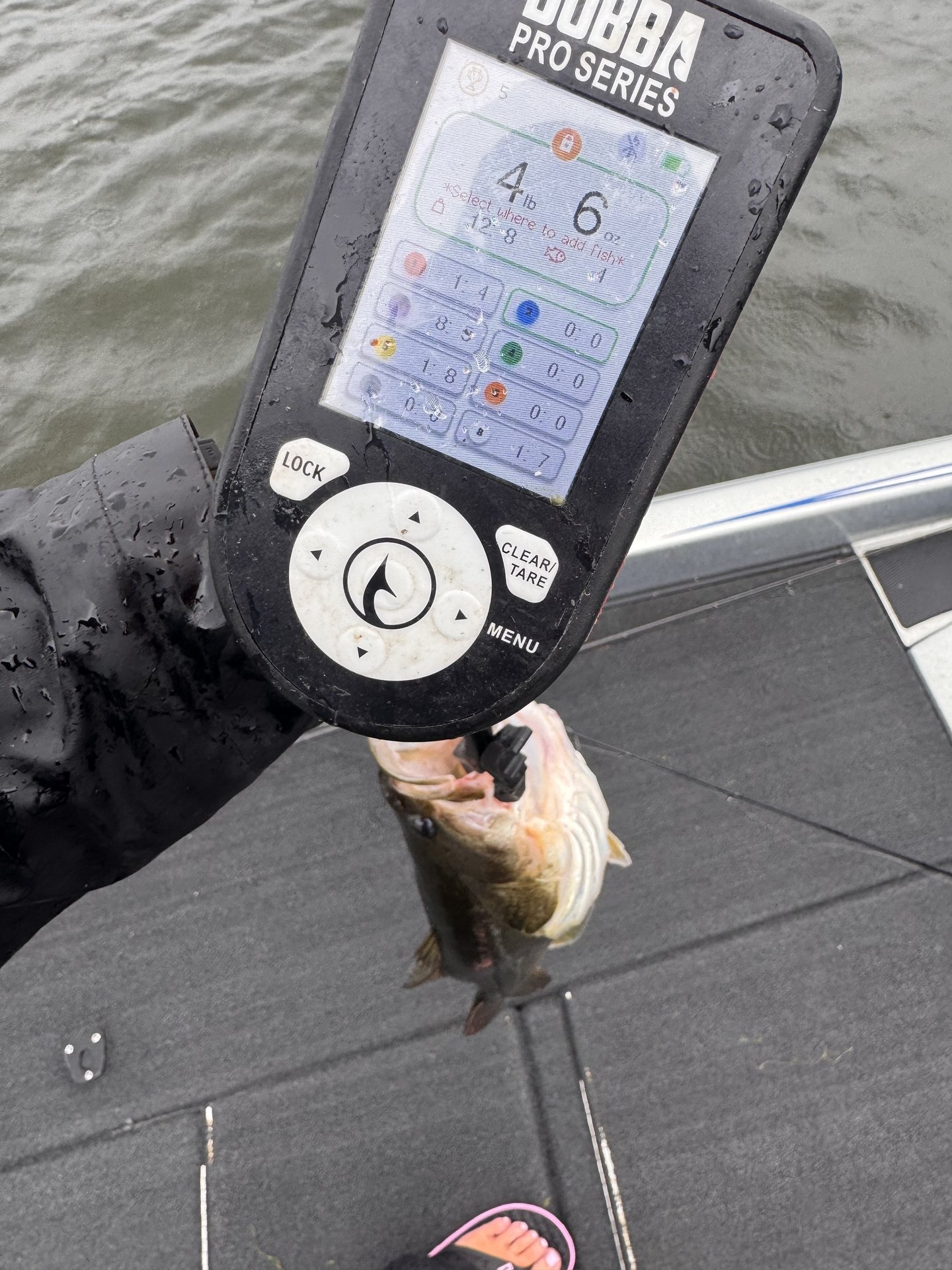 Largemouth Bass catch photo 2