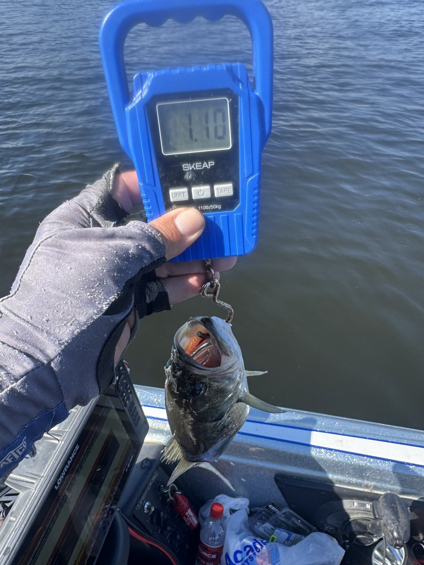 Rick Cruz · Fish on Scale