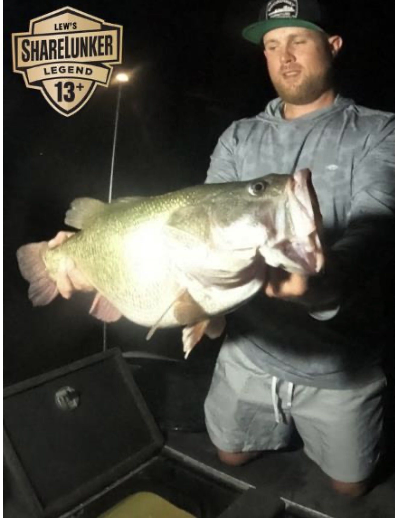 Largemouth Bass
