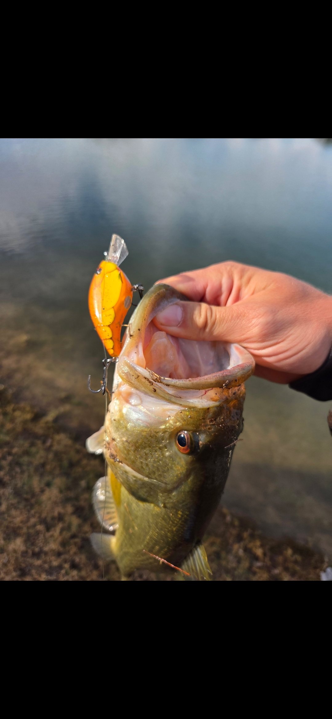 Cody · Selfie with Fish