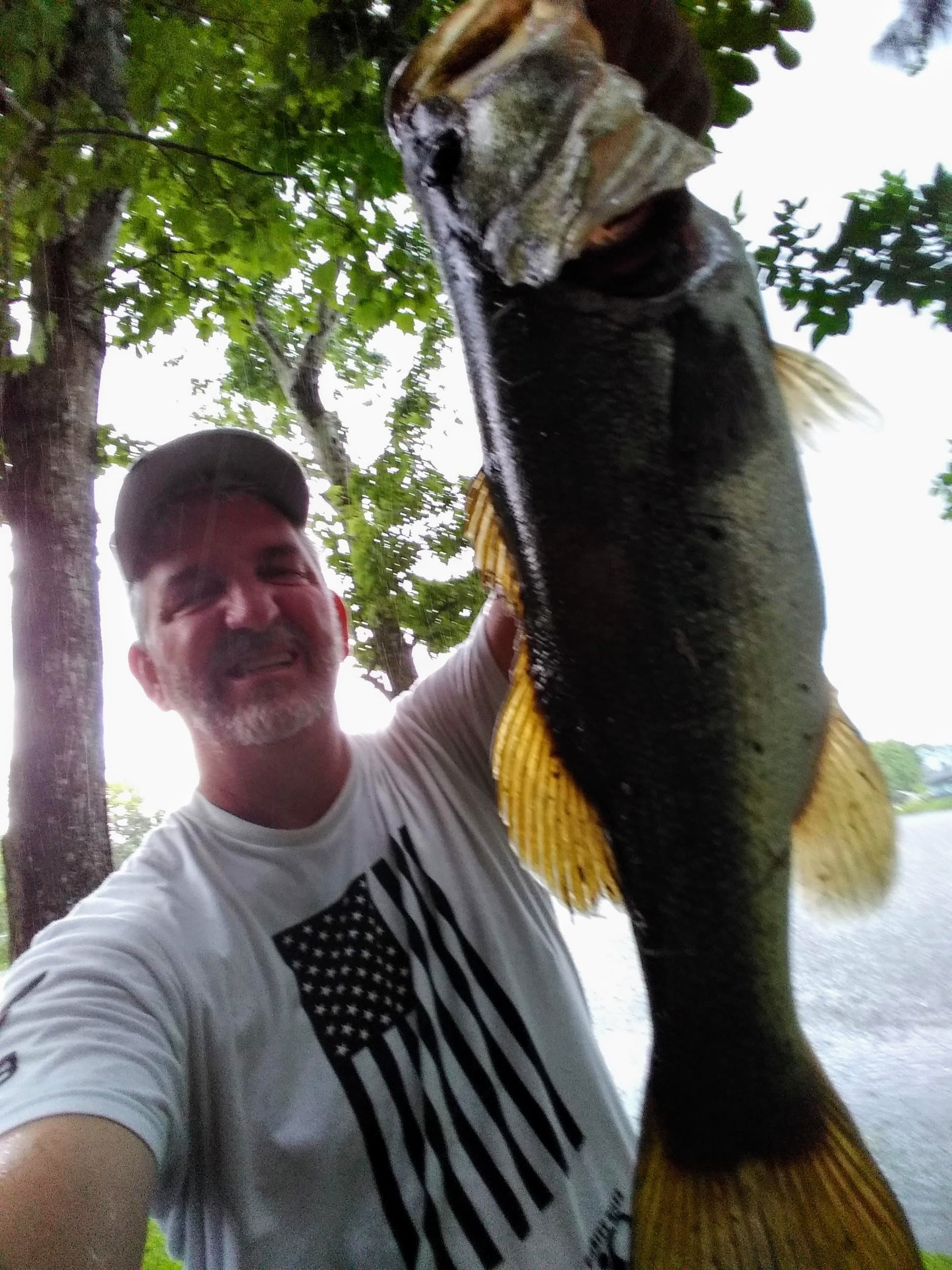 Largemouth Bass catch photo 1